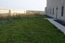 A Green Roof installed on the Bronx County Supreme Court Building.