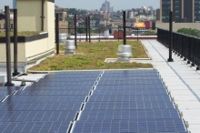 Green Roof and Solar PV System in the Bronx