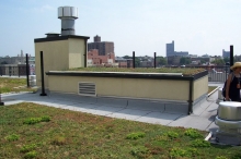 A Green Roof installed on a multifamily building in the Bronx in 2008, funded in part by NYSERDA.